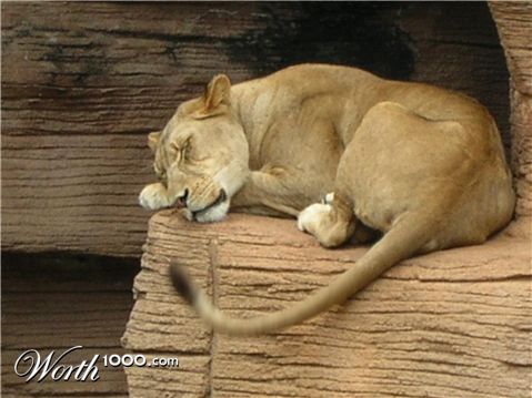 Photoshop Design by chrisboo1974