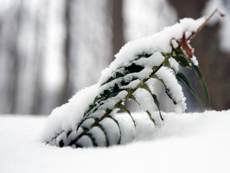 Photography by desstorm for DesignCrowd (Community Contests) | Design #9022815