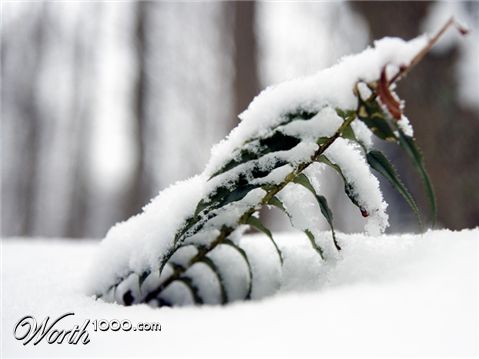 Photography by desstorm