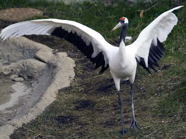 Photography by desstorm for DesignCrowd (Community Contests) | Design #9024206