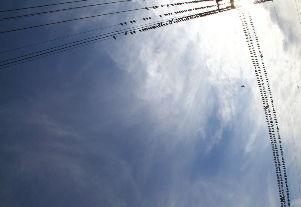 Fotografie von DaftGretel für DesignCrowd (Community Contests) | Design #9024075