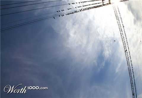 Photography by DaftGretel