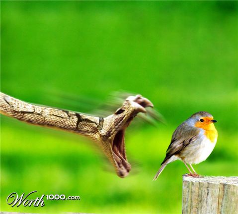 Photoshop Design by ThreeProngs