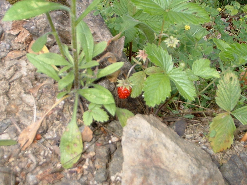 Photography by Maverick900407 for DesignCrowd (Community Contests) | Design #9022820