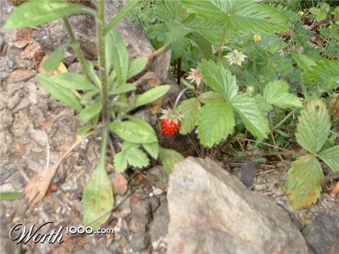 Photography by Maverick900407