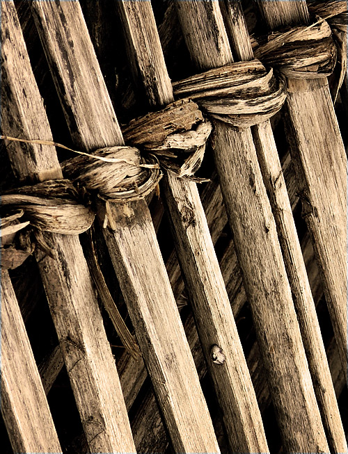 Fotografie von droomluiperd für DesignCrowd (Community Contests) | Design #9025164