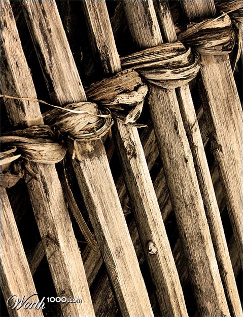 Photography by droomluiperd