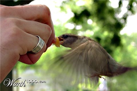 Photography by torkio