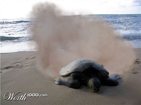 Photoshop Design by fallfritt