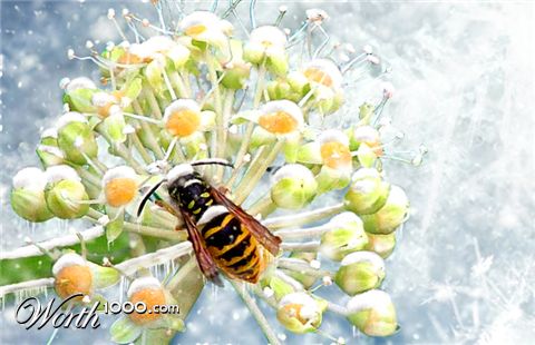 Photoshop Design by uptowngirl