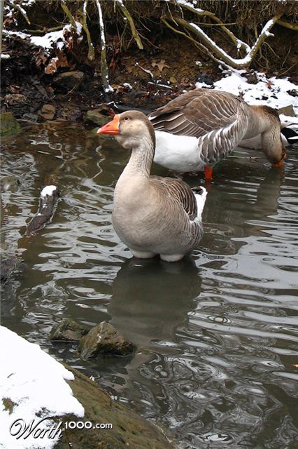 Photography by kat426