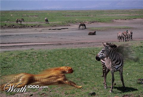 Photoshop Design by negromo