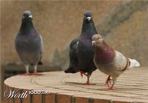 Photography by octopulse