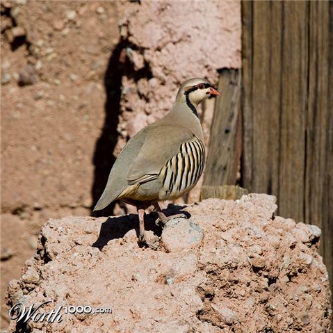 Photography by georgethedog