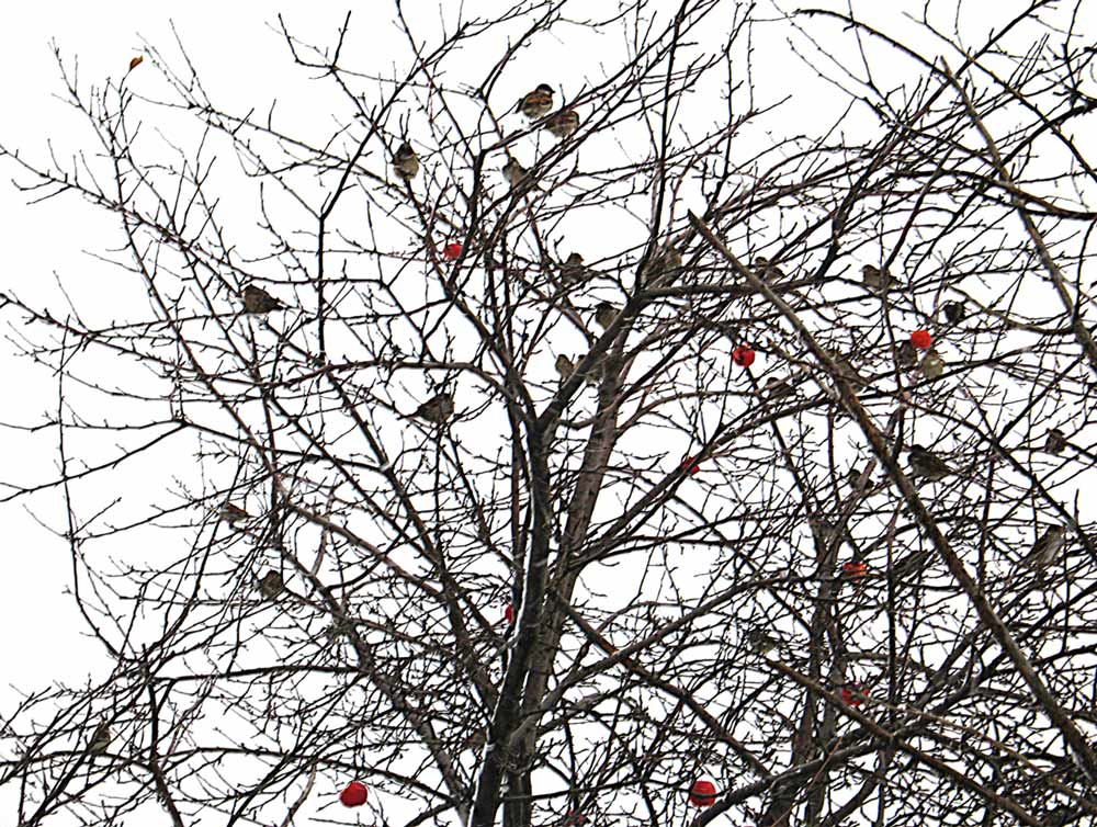 Photography by Keelonzo for DesignCrowd (Community Contests) | Design #9024308