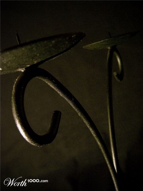 Photography by cpatrick