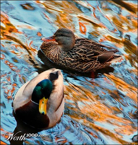 Photography by Tonebarge
