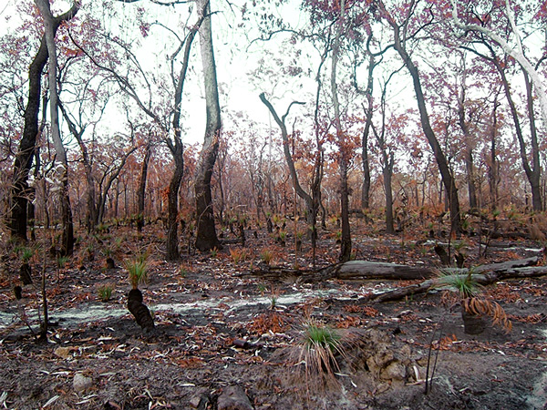 Photography by EyEars for DesignCrowd (Community Contests) | Design #9022853