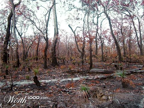 Photography by EyEars