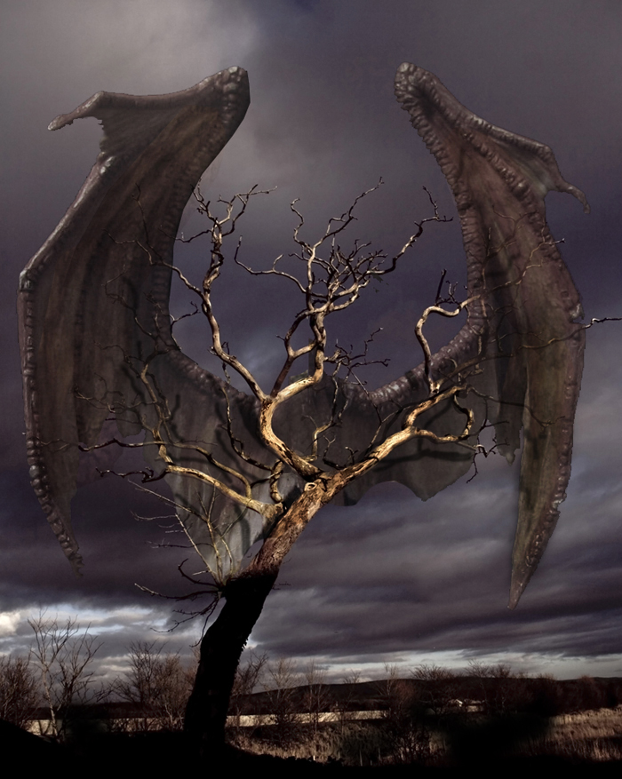 Diseño de Photoshop por worldtraveler666 para DesignCrowd (Community Contests) | Diseño #9019566