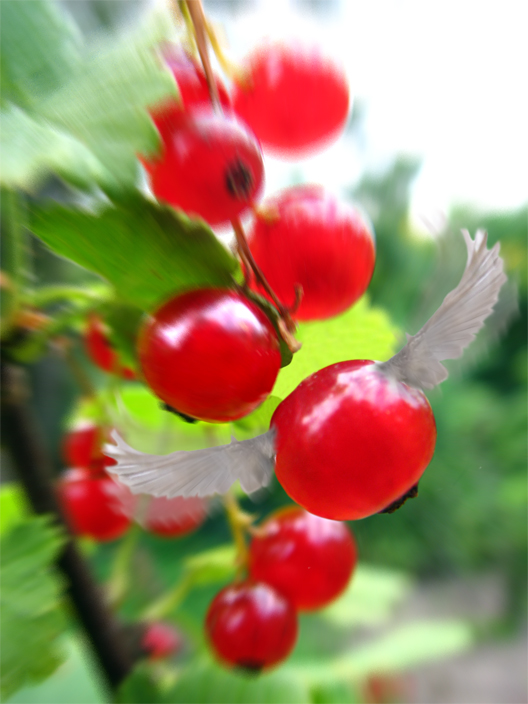 Design Photoshop par 1000gb pour DesignCrowd (Community Contests) | Design #9019562