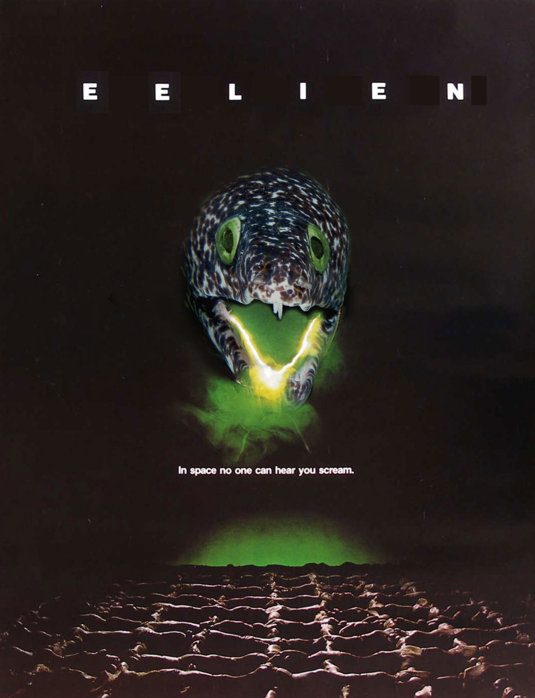 Photoshop Design by Killington for DesignCrowd (Community Contests) | Design #9020862