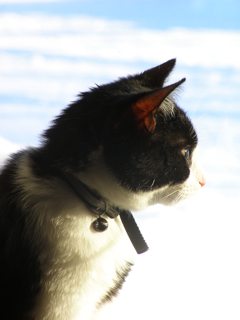 Photography by Tool47 for DesignCrowd (Community Contests) | Design #9022870