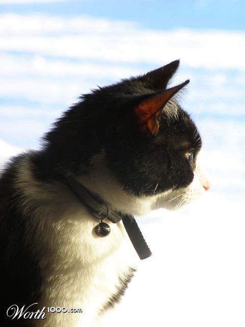 Photography by Tool47