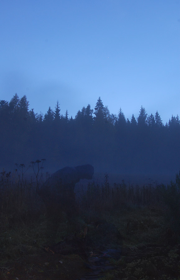 Photography by Reconban for DesignCrowd (Community Contests) | Design #9022232