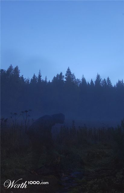 Photography by Reconban