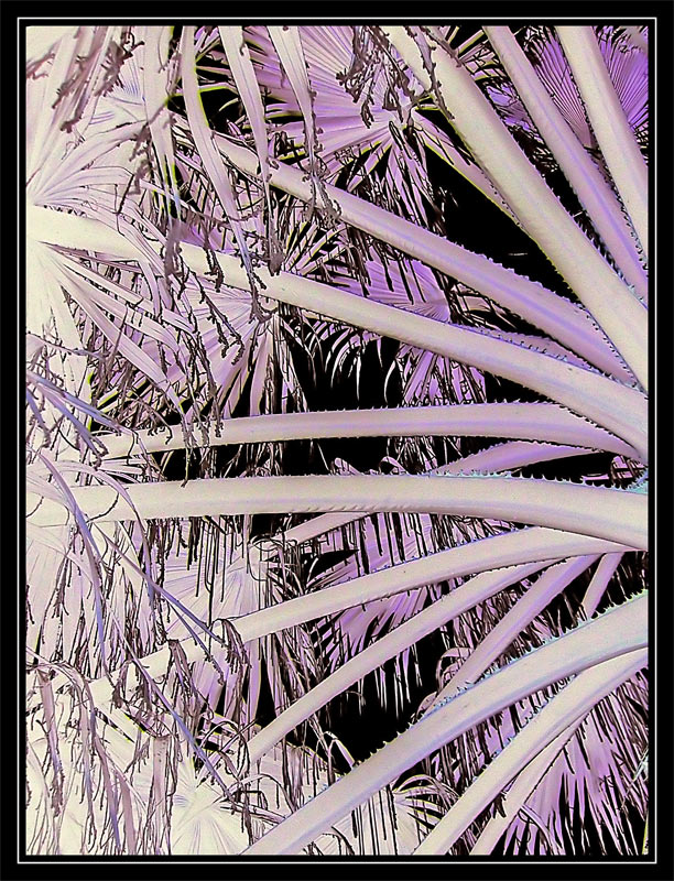 Fotografie von IsleofJura für DesignCrowd (Community Contests) | Design #9021145