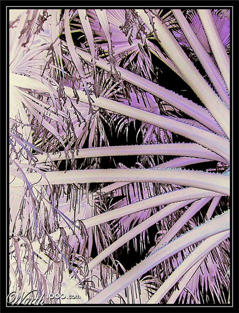 Photography by IsleofJura