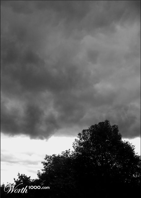 Photography by Limitchik