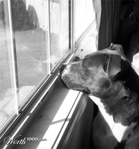 Photography by lissette2474