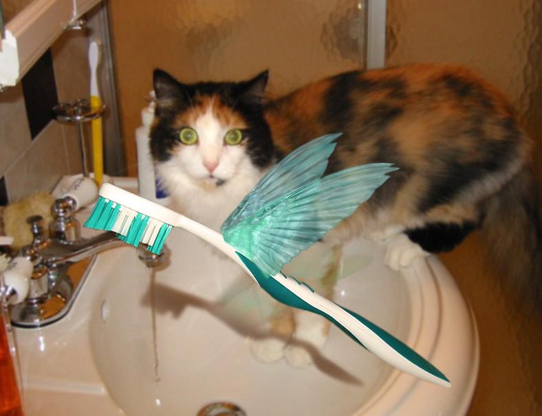 Design Photoshop par sugarcane pour DesignCrowd (Community Contests) | Design #9019625