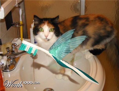 Photoshop Design by sugarcane