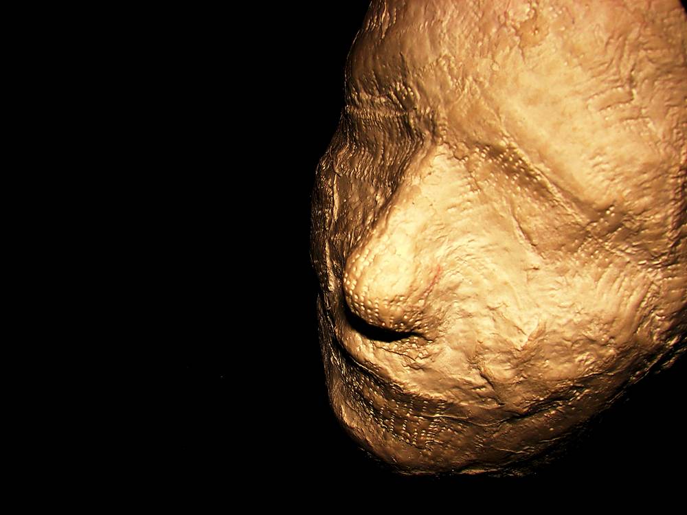 Photographie par Berilu pour DesignCrowd (Community Contests) | Design #9022239