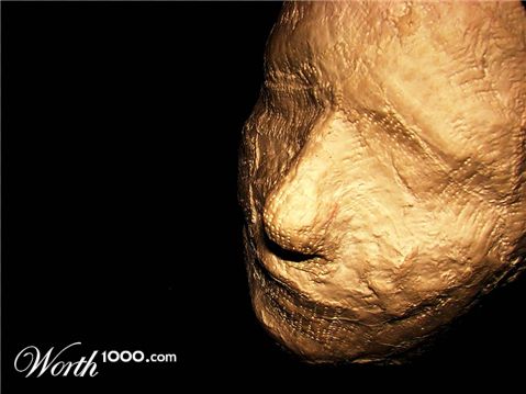 Photography by Berilu