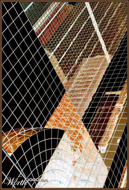 Photography by Juicer