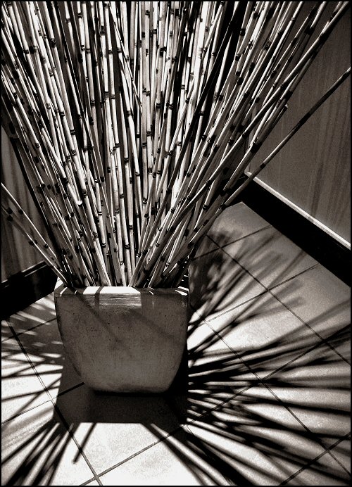 Photography by Juicer for DesignCrowd (Community Contests) | Design #9025182