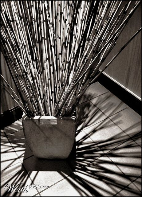 Photography by Juicer