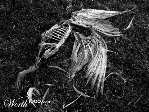 Photography by MilleDju