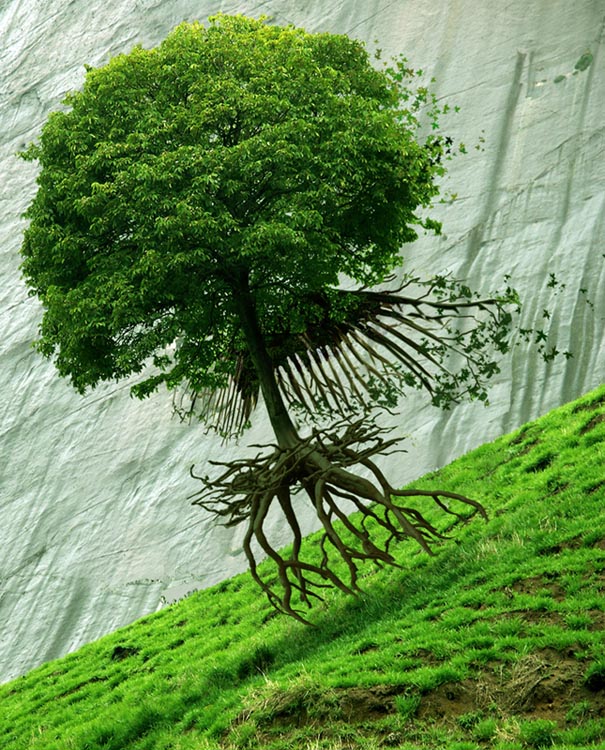 Photoshop-Design von Elinorthen für DesignCrowd (Community Contests) | Design #9019632