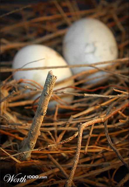 Photography by mated1976