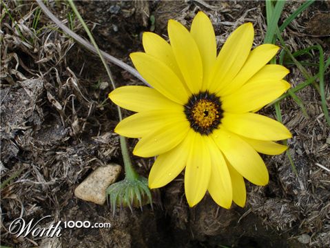 Photography by wannajo