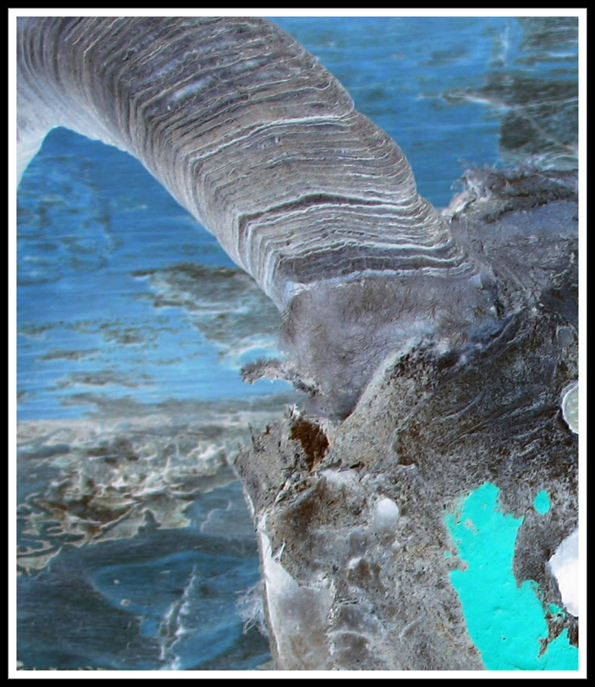 Photography by Mikeleus for DesignCrowd (Community Contests) | Design #9021134