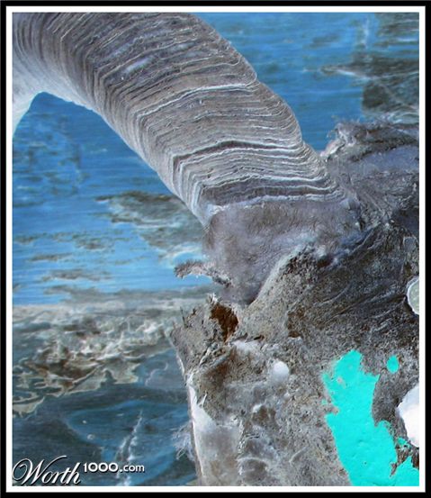 Photography by Mikeleus