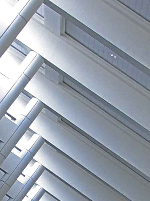 Photography by jersalv1 for DesignCrowd (Community Contests) | Design #9023828