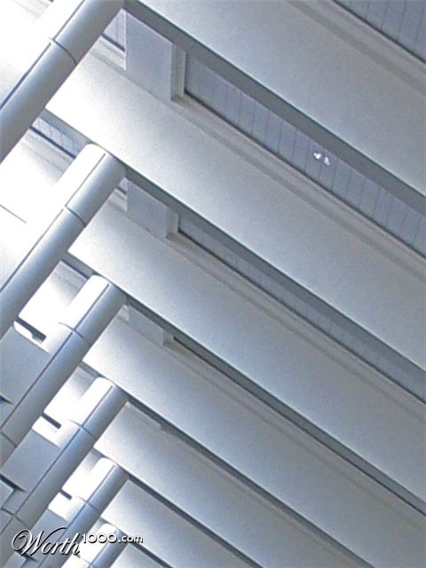 Photography by jersalv1