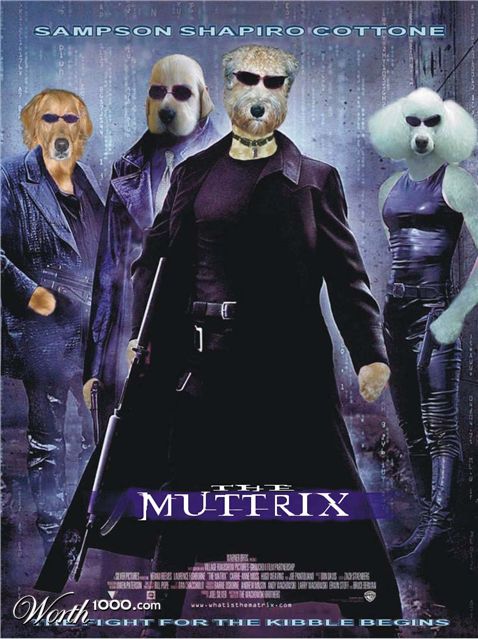 Photoshop Design by sampsonthedog